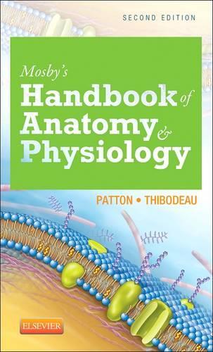 Бумажная книга «Mosby's Handbook of Anatomy & Physiology», авторов Гэри А. Тибодо, Кевин Т. Паттон - фото №1