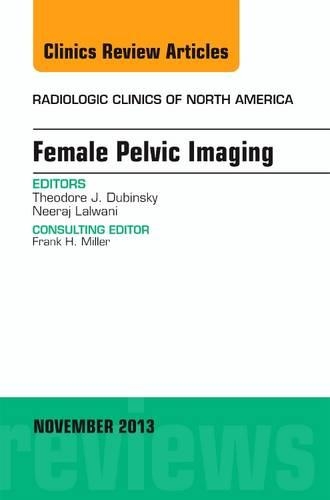 Бумажная книга «Female Pelvic Imaging, An Issue of Radiologic Clinics of North America», автор Теодор Дубински - фото №1