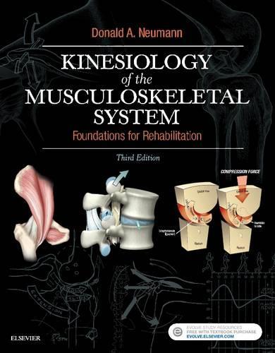 Бумажная книга «Kinesiology of the Musculoskeletal System: Foundations for Rehabilitation», автор Дональд А. Нойманн - фото №1