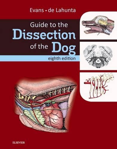 Паперова книга «Guide to the Dissection of the Dog», авторів Александр де Лахунта, Говард Е. Еванс - фото №1