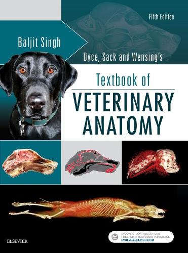 Паперова книга «Dyce, Sack, and Wensing's Textbook of Veterinary Anatomy», автор Балджит Сінгх - фото №1