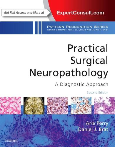 Бумажная книга «Practical Surgical Neuropathology: A Diagnostic Approach: A Volume in the Pattern Recognition Series», авторов Арье Перри, Дэниел Дж. Брэт - фото №1