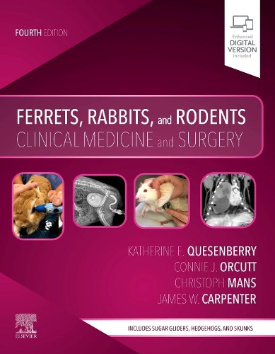 Бумажная книга «Ferrets, Rabbits, and Rodents: Clinical Medicine and Surgery», авторов Кристоф Манс, Конни Оркутт, Кэтрин Кесенберри - фото №1