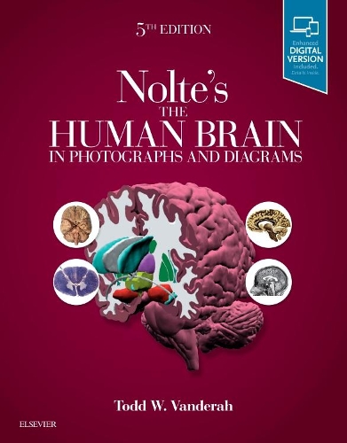 Бумажная книга «Nolte's The Human Brain in Photographs and Diagrams», автор Тодд В. Вандерах - фото №1