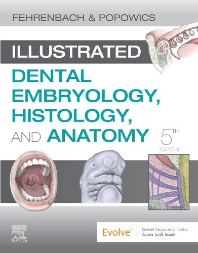 Бумажная книга «Illustrated Dental Embryology, Histology, and Anatomy», авторов Маргарет Дж. Фехренбах, Трейси Попович - фото №1