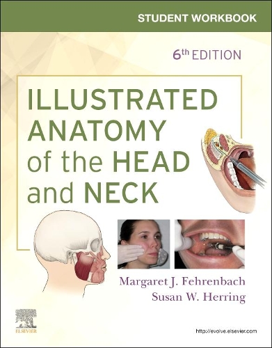 Бумажная книга «Student Workbook for Illustrated Anatomy of the Head and Neck», автор Маргарет Дж. Фехренбах - фото №1