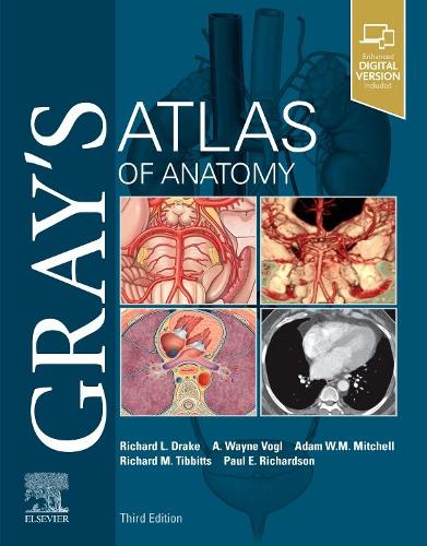 [object Object] «Gray's Atlas of Anatomy», авторов A. Уэйн Вогл, Адам В. М. Митчелл, Пол Ричардсон, Ричард Л. Дрейк, Ричард Тиббитс - фото №1
