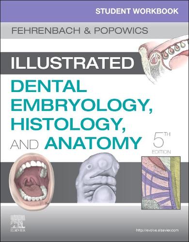 Бумажная книга «Student Workbook for Illustrated Dental Embryology, Histology and Anatomy», автор Маргарет Дж. Фехренбах - фото №1