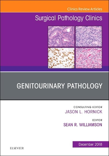 Бумажная книга «Genitourinary Pathology, An Issue of Surgical Pathology Clinics», автор Шон Уильямсон - фото №1
