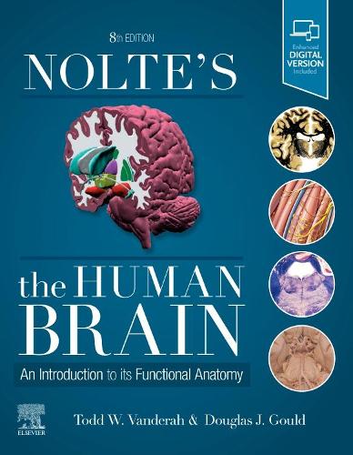 Бумажная книга «Nolte's The Human Brain: An Introduction to its Functional Anatomy», авторов Дуглас Дж. Гулд, Тодд В. Вандерах - фото №1
