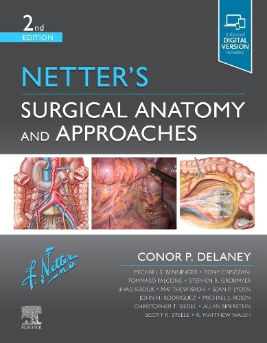 Паперова книга «Netter's Surgical Anatomy and Approaches», автор Конор П. Ділейні - фото №1