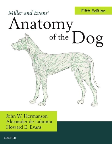 Бумажная книга «Miller's Anatomy of the Dog», авторов Александр де Лахунта, Джон В. Хермансон - фото №1