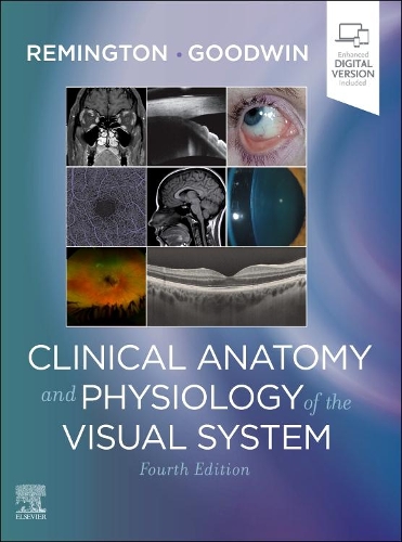 Бумажная книга «Clinical Anatomy and Physiology of the Visual System», авторов Дениз Гудвин, Ли Энн Ремингтон - фото №1