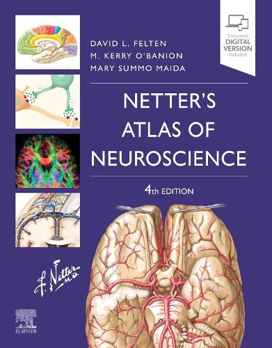 Паперова книга «Netter's Atlas of Neuroscience», авторів Девід Л. Фелтен, Мері Суммо Майда, Майкл К. О'Баніон - фото №1