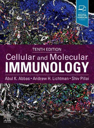 Бумажная книга «Cellular and Molecular Immunology», авторов Абул К. Аббас, Эндрю Х. Лихтман, Шив Пиллай - фото №1
