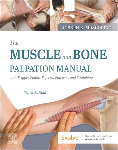Бумажная книга «The Muscle and Bone Palpation Manual with Trigger Points, Referral Patterns and Stretching», автор Джозеф Э. Мусколино - фото №1