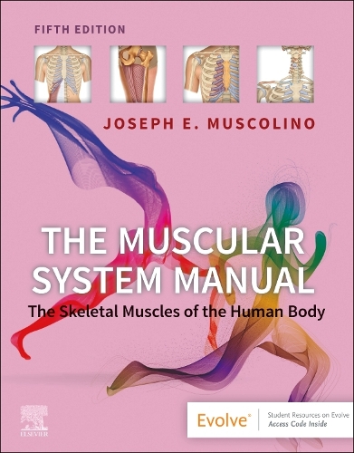 Бумажная книга «The Muscular System Manual: The Skeletal Muscles of the Human Body», автор Джозеф Э. Мусколино - фото №1