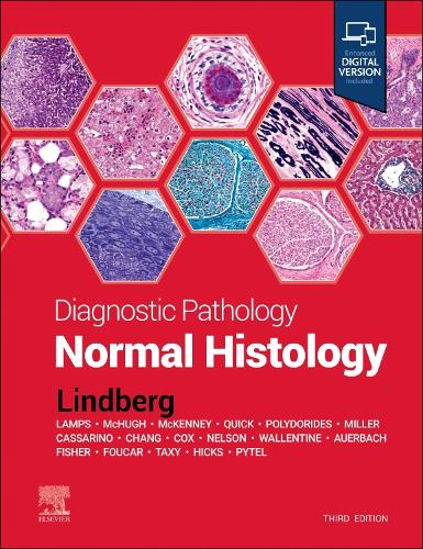 Бумажная книга «Diagnostic Pathology: Normal Histology», автор Мэтью Р. Линдберг - фото №1