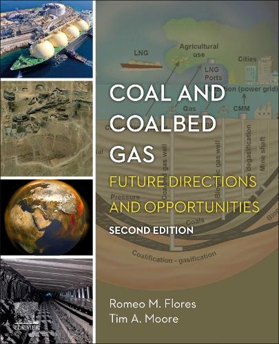 Паперова книга «Coal and Coalbed Gas: Future Directions and Opportunities», авторів Ромео М. Флорес, Тім А. Мур - фото №1