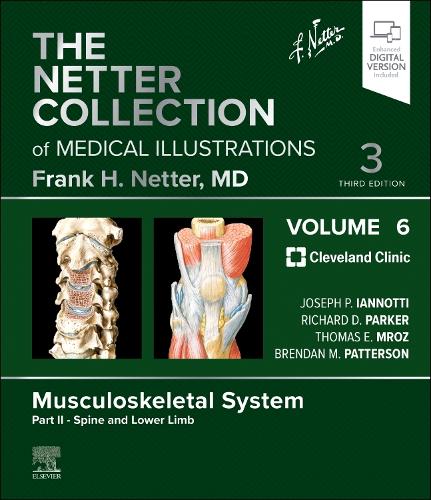 Бумажная книга «The Netter Collection of Medical Illustrations: Musculoskeletal System, Volume 6, Part II - Spine and Lower Limb» - фото №1