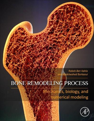 Паперова книга «Bone Remodeling Process: Mechanics, Biology, and Numerical Modeling», авторів Абдельвахед Баркауї, Рабі Бен Кала - фото №1