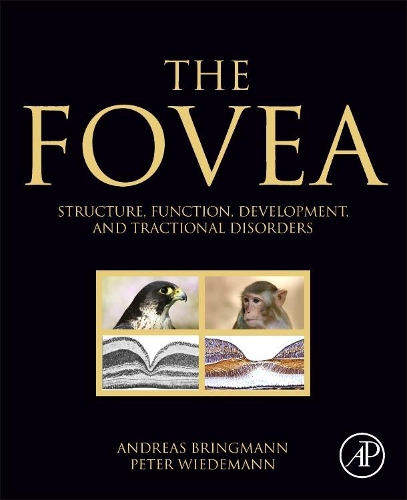 Паперова книга «The Fovea: Structure, Function, Development, and Tractional Disorders», авторів Андреас Брінгманн, Пітер Відеманн - фото №1