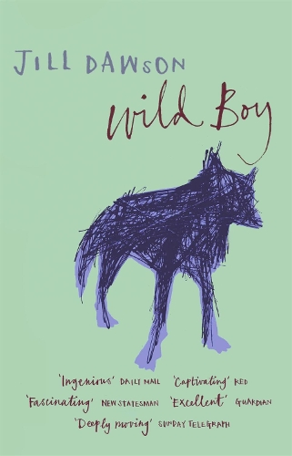Бумажная книга «Wild Boy», автор Джил Доусон - фото №1