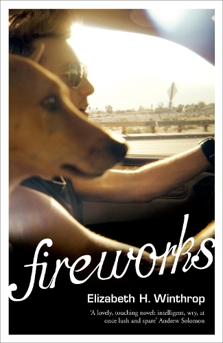 Бумажная книга «Fireworks», автор Элизабет Х. Уинтроп - фото №1