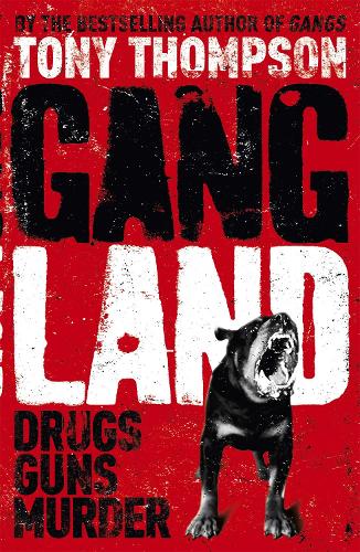 Бумажная книга «Gang Land: From footsoldiers to kingpins, the search for Mr Big», автор Тони Томпсон - фото №1
