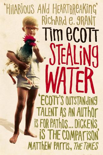 Паперова книга «Stealing Water», автор Тім Екотт - фото №1