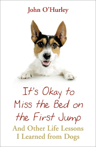 Бумажная книга «It's OK to Miss the Bed on the First Jump», автор Джон О'Херли - фото №1