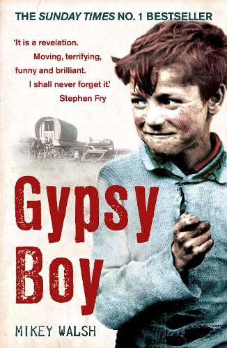 Паперова книга «Gypsy Boy: The bestselling memoir of a Romany childhood», автор Майкі Волш - фото №1