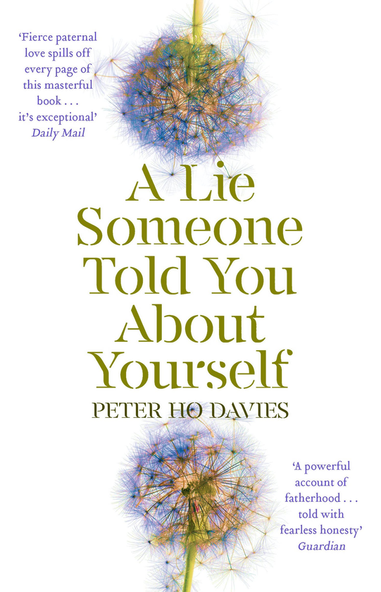 Паперова книга «A Lie Someone Told You About Yourself», автор Пітер Хо Девіс - фото №1