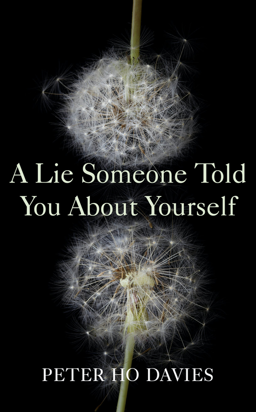 Бумажная книга «A Lie Someone Told You About Yourself», автор Питер Хо Дэвис - фото №1