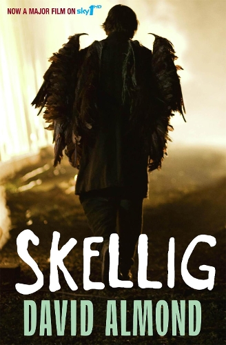 Бумажная книга «Skellig», автор Дэвид Алмонд - фото №1