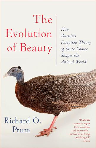 Бумажная книга «Evolution of Beauty: How Darwin's Forgotten Theory of Mate Choice Shapes the Animal World - and Us», автор Ричард О. Прум - фото №1