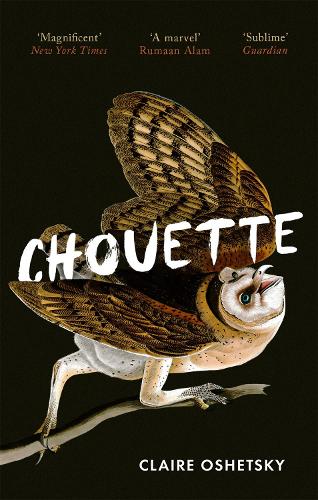 Паперова книга «Chouette», автор Клер Ошецький - фото №1