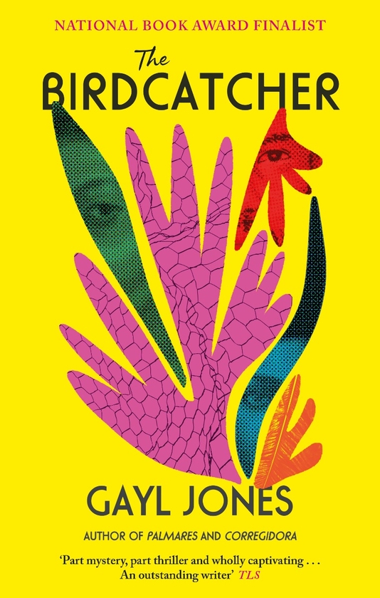 Паперова книга «The Birdcatcher», автор Гейл Джонс - фото №1