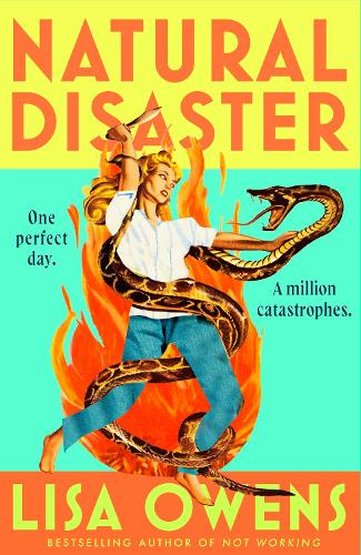 Бумажная книга «Natural Disaster: 'Mrs Dalloway meets Motherland' (The Times) in this hilariously relatable, sharply observed new novel from the author of NOT WORKING», автор Лиза Оуэнс - фото №1