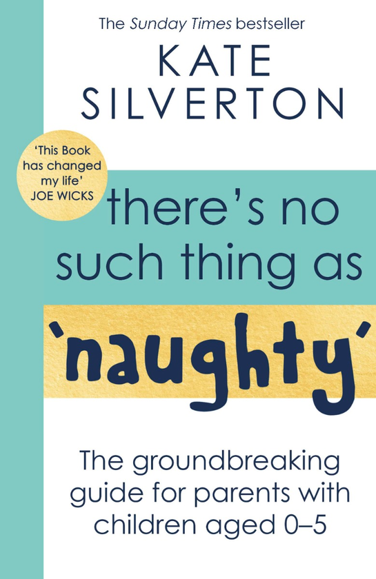 Паперова книга «There's No Such Thing As 'Naughty'», автор Кейт Сільвертон - фото №1