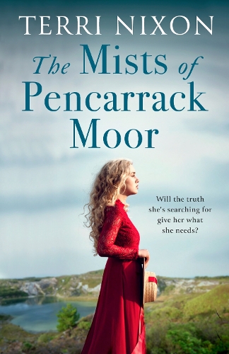 Бумажная книга «The Mists of Pencarrack Moor», автор Терри Никсон - фото №1