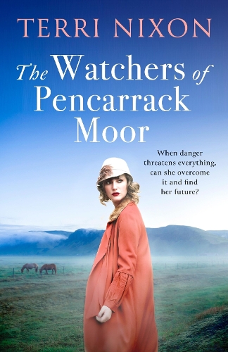 Бумажная книга «The Watchers of Pencarrack Moor», автор Терри Никсон - фото №1