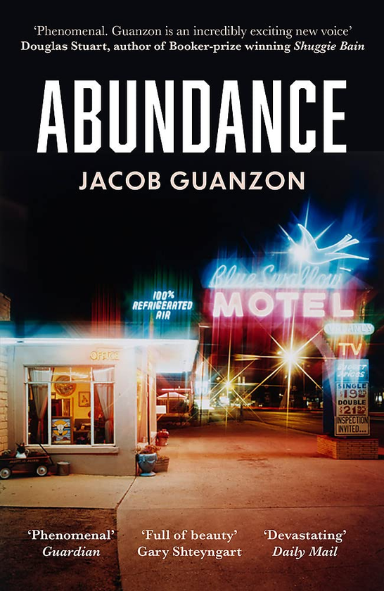 Бумажная книга «Abundance», автор Якоб Гуанзон - фото №1