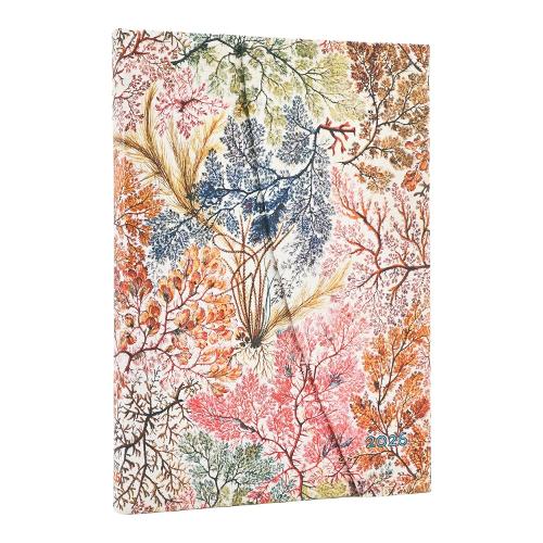 Бумажная книга «2026 Anemone (William Kilburn) Midi 12-month Verso Hardcover Flexi Dayplanner 2026 (Wrap Closure)», автор Paperblanks - фото №1