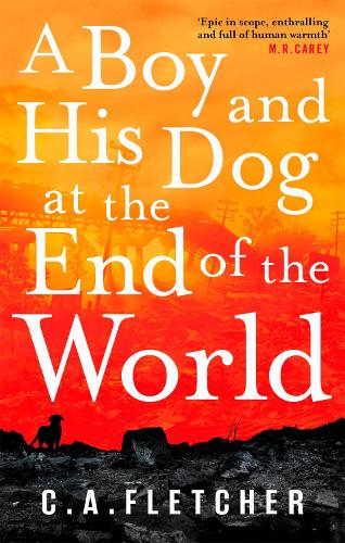 Бумажная книга «A Boy and his Dog at the End of the World» - фото №1