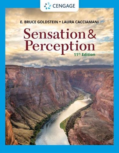 Бумажная книга «Sensation and Perception», авторов Э. Голдштейн, Лаура Каччамани - фото №1