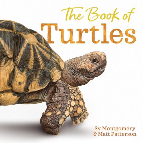 Паперова книга «The Book of Turtles», автор Сай Монтгомері - фото №1