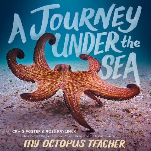 Бумажная книга «A Journey Under the Sea», авторов Крейг Фостер, Росс Фрайлинк - фото №1