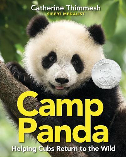 Паперова книга «Camp Panda: Helping Cubs Return to the Wild», автор Кетрін Тіммеш - фото №1