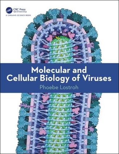 Паперова книга «Molecular and Cellular Biology of Viruses», автор Фібі Лостро - фото №1